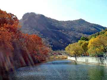 正新澳门二四六天天彩，都市神尊